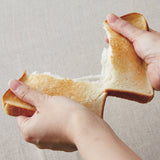 Aladdin(アラジン) 4枚焼きグラファイト グリル&トースター シルバー AGT-G13B(S)