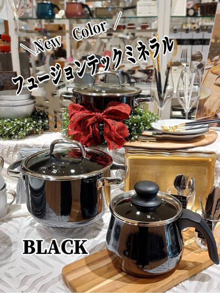 大人気の ＼フュージョンテックミネラルに／ かっこいい！新色ブラック登場