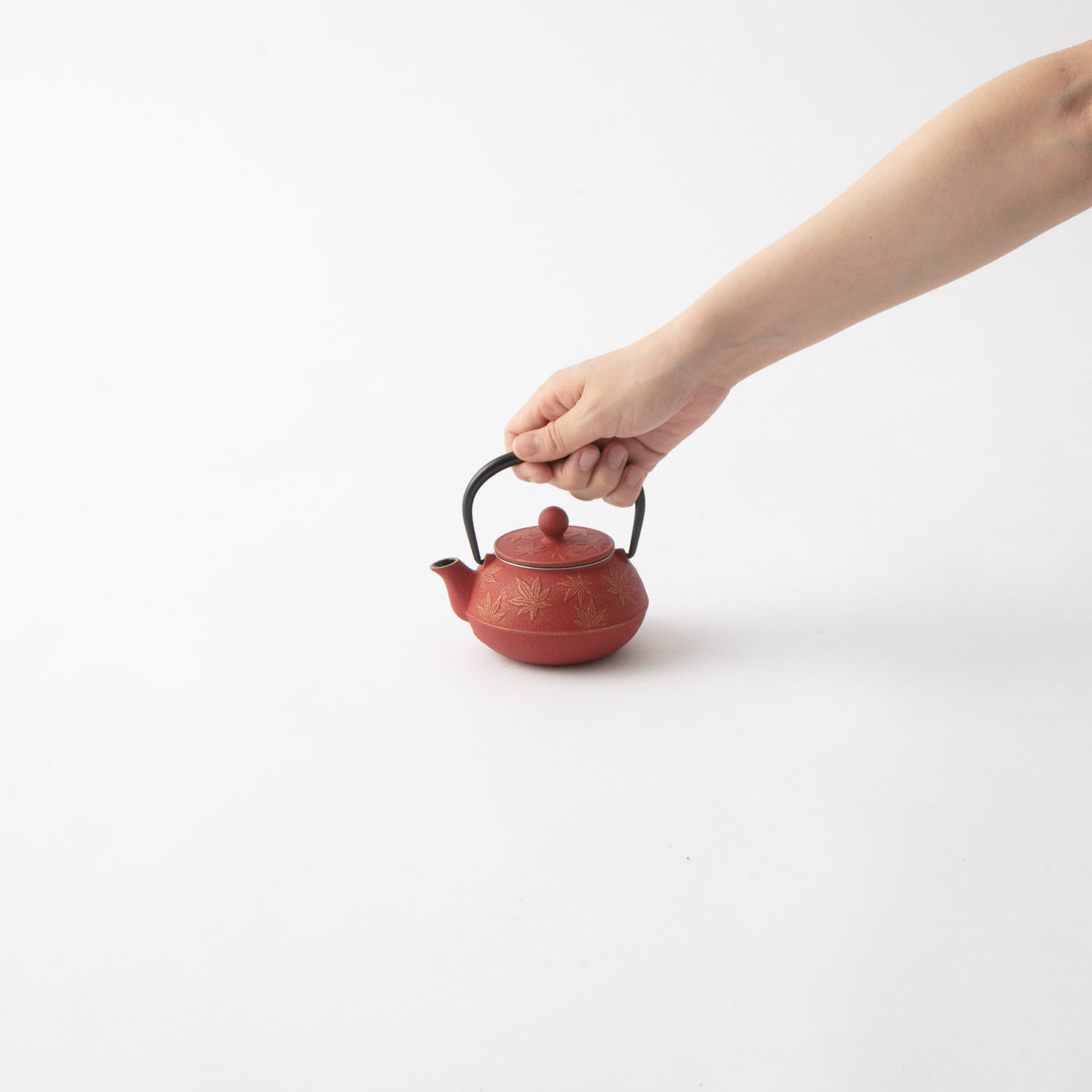 岩鋳 急須 カエデ 金/赤茶 |キッチン用品通販サイト Y.YACHT STORE