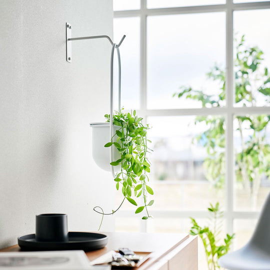 tower（タワー）ウォールハンギンググリーンフック 石こうボード壁対応 ホワイト