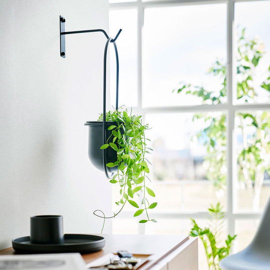 tower（タワー）ウォールハンギンググリーンフック 石こうボード壁対応 ブラック