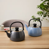 富士ホーロー 2.5L ガラス蓋ケトル ブルー（オンライン限定)