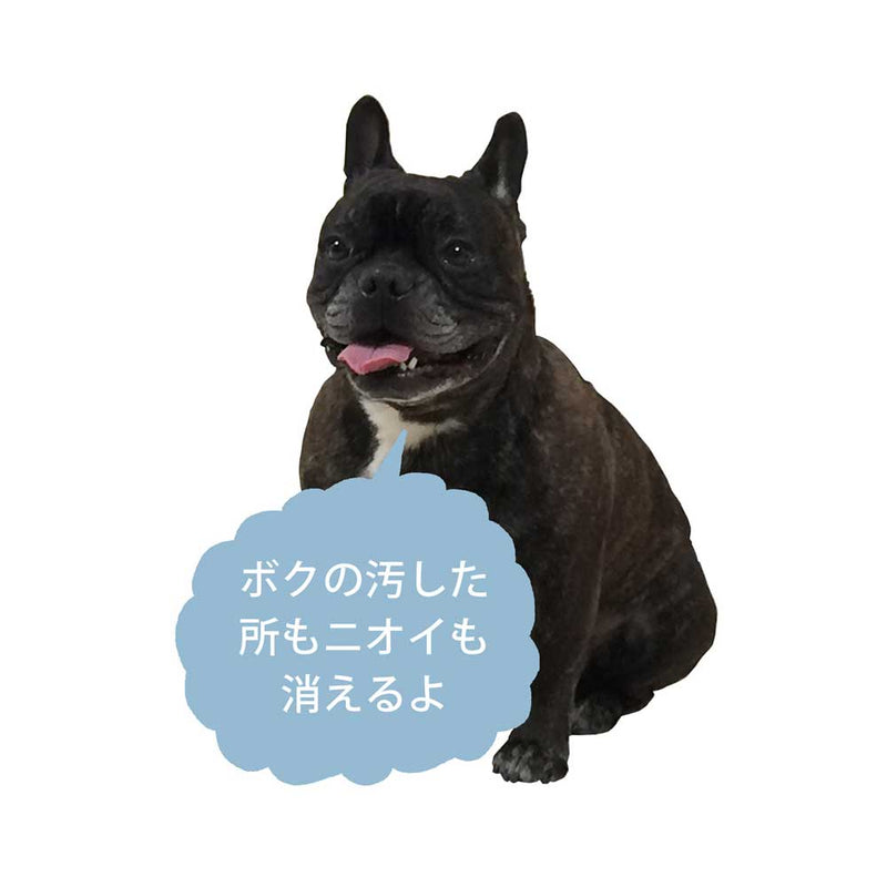 Dr. Beckmann（ドクター ベックマン）カーペット ステインリムーバー