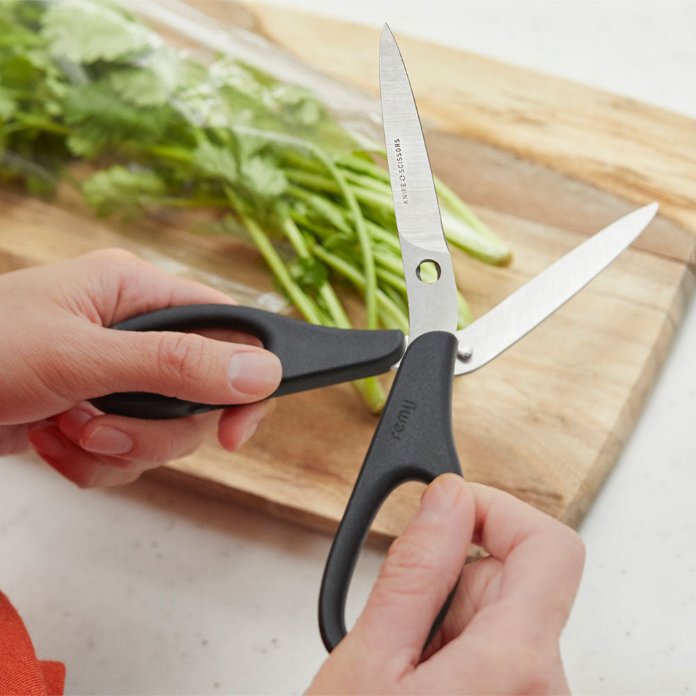 remy（レミー）ナイフなハサミ 50545 |キッチン用品通販サイト Y.YACHT
