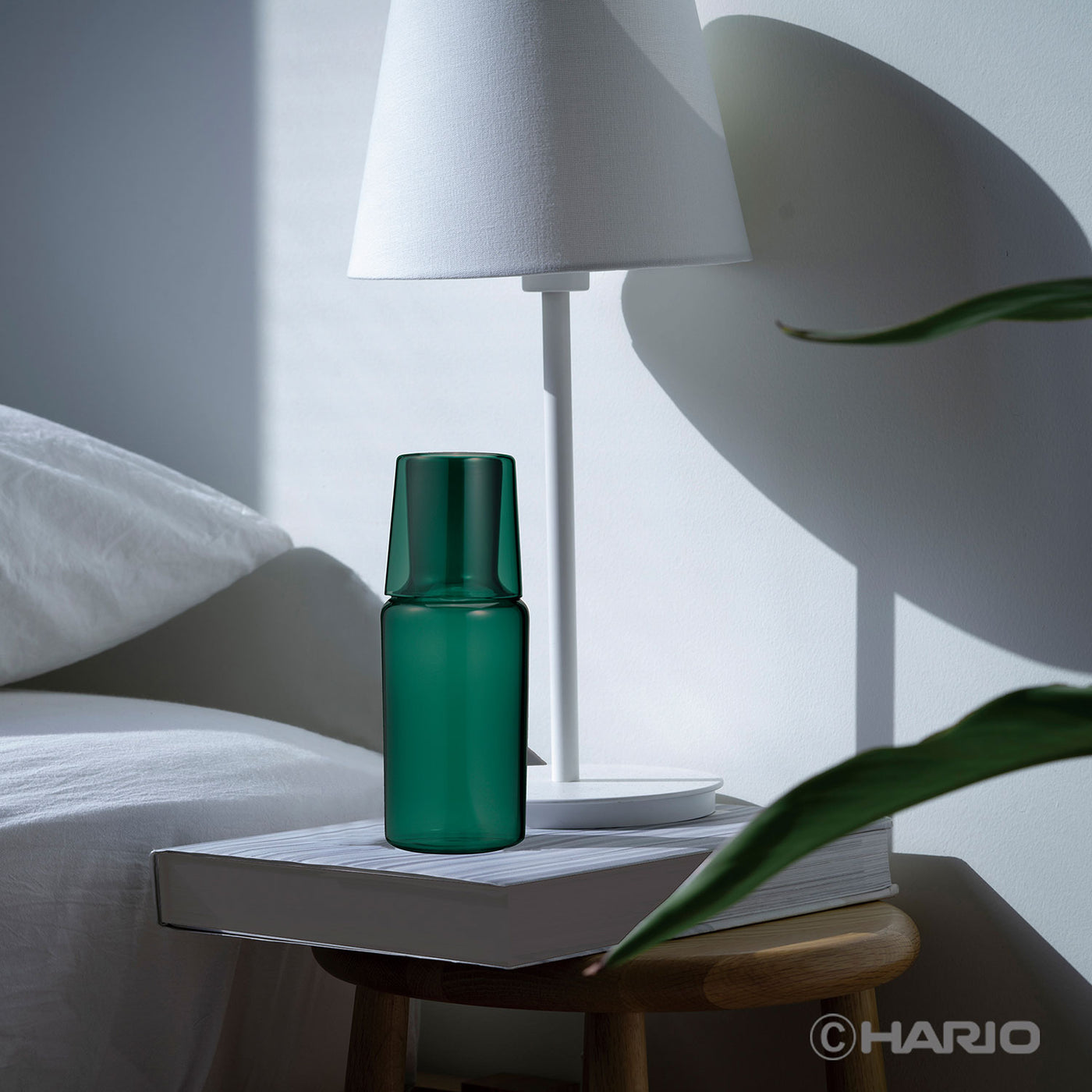 HCNC_img_73a8239a-8d48-4697-