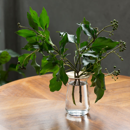 KINTO（キントー）LUNA ベース 80x130mm クリア