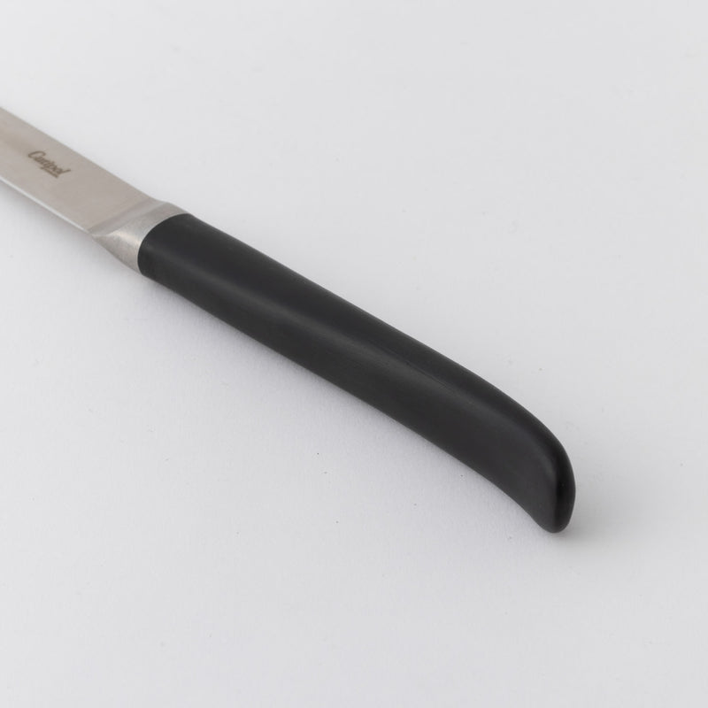 Cutipol(クチポール)  リブ ステーキナイフ 2本セット