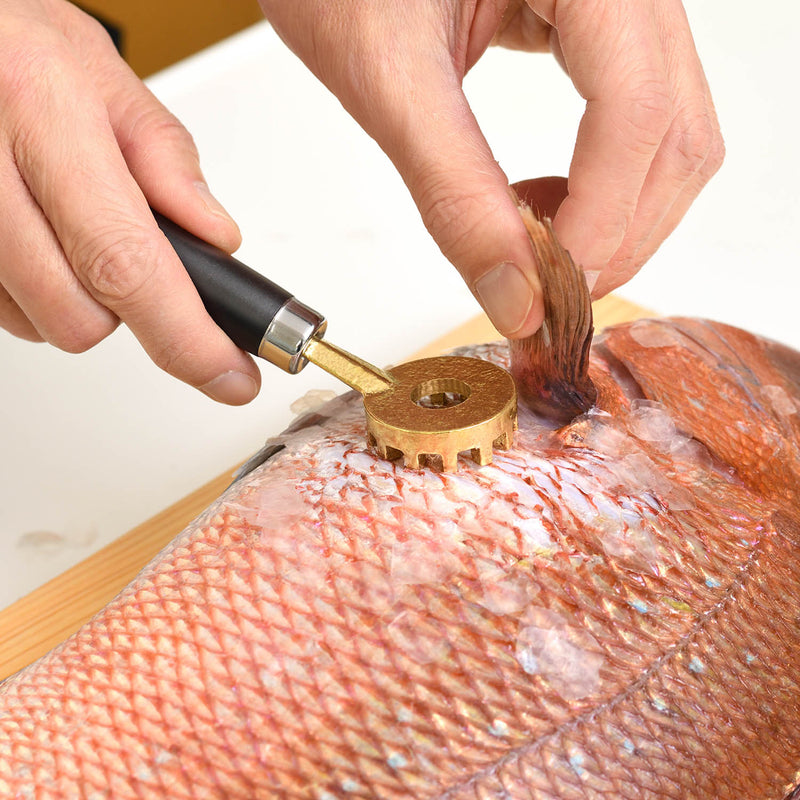 オークス 大人の焼き魚 鱗とり