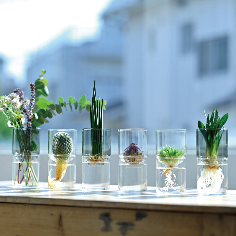 HARIO(ハリオ) ガラスのある生活 ガラスの花器 クリアブラック
