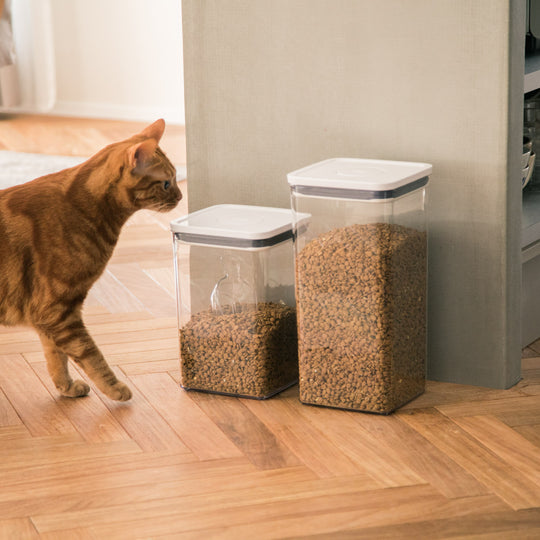 OXO(オクソー) ポップコンテナ ビッグスクエア